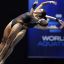 Ana Carvajal logra el billete olímpico en trampolín de 10 metros